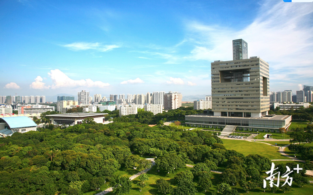 “Shenzhen Scholarships: Paving Your Way to Success”